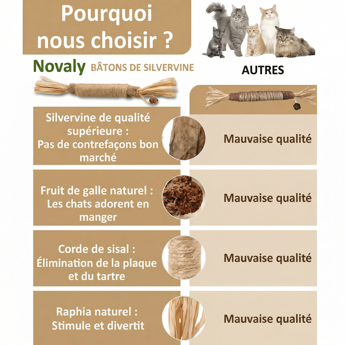 Silvervine (Matatabi) – Qualité supérieure