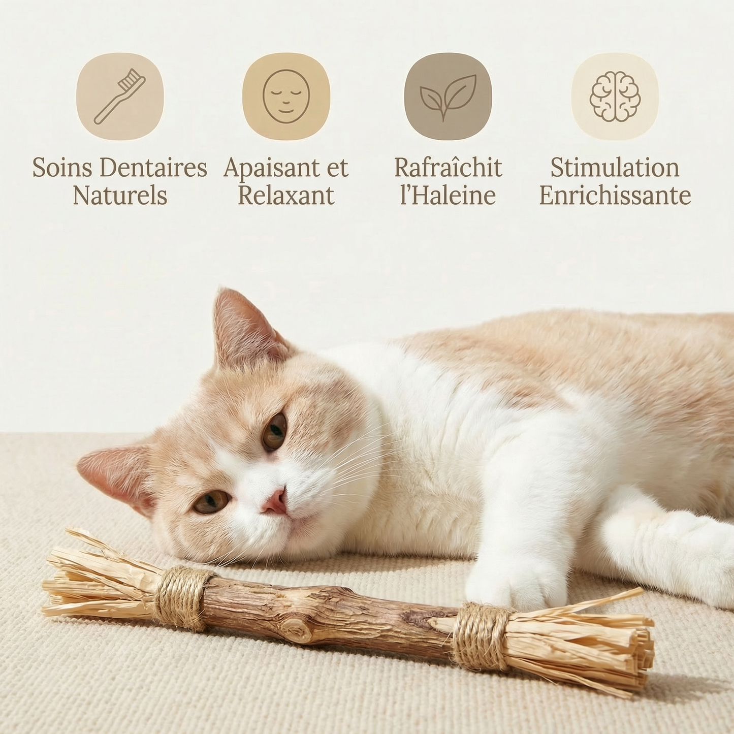 Bâtonnets à mâcher naturels pour chats