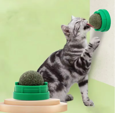 Balle d'herbe a chat