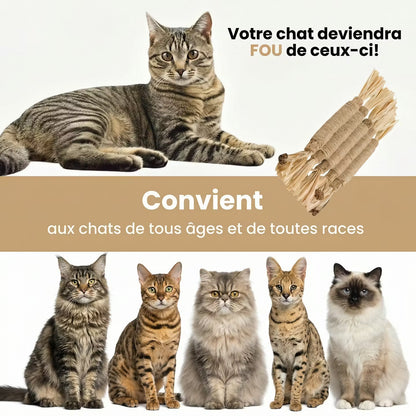 Bâtonnets à mâcher naturels pour chats