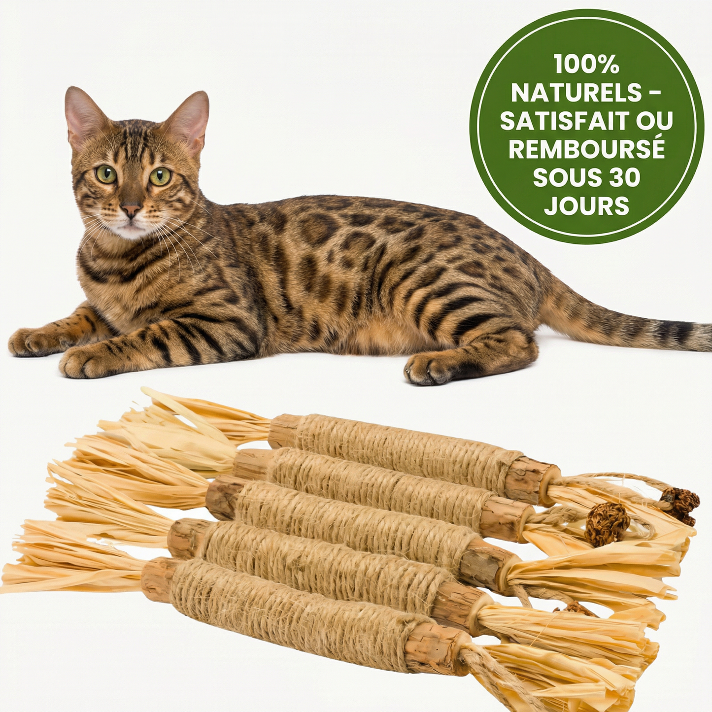 Bâtonnets à mâcher naturels pour chats